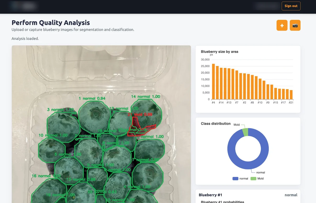 Inspection Intelligence: segmentacion y clasificacion visual de fruta con evidencia trazable